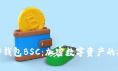 全面解析TP钱包BSC：加密数