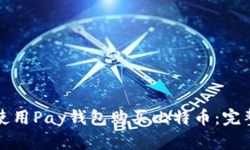 如何使用Pay钱包购买比特币：完整指南