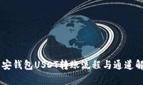 币安钱包USDT转账流程与通道解析