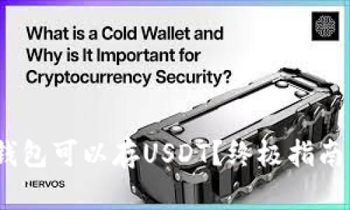 :什么钱包可以存USDT？终极指南与推荐