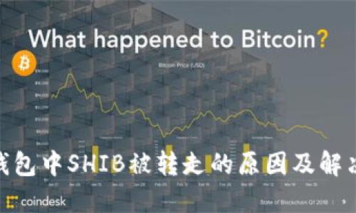 : TP钱包中SHIB被转走的原因及解决措施
